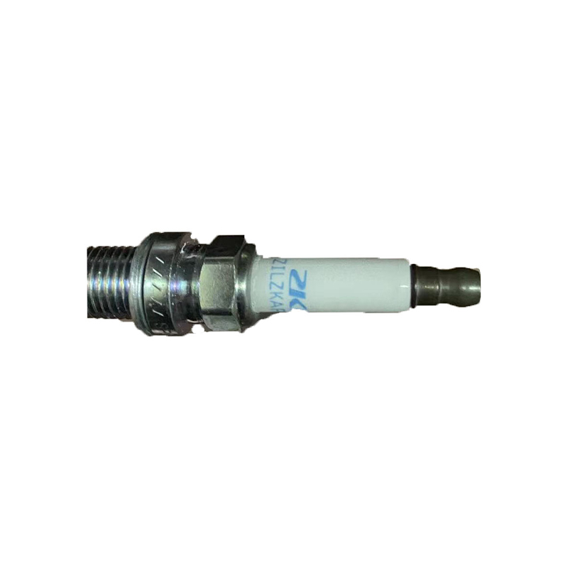 Bujía 10162965 RW RX5 GS HS